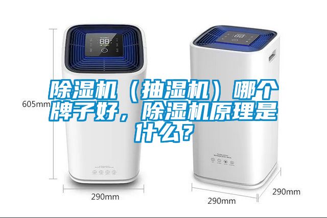 除濕機（抽濕機）哪個牌子好，除濕機原理是什么？