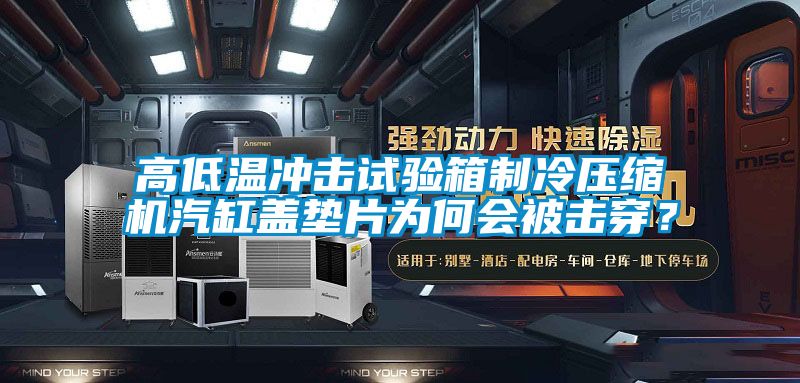 高低溫沖擊試驗箱制冷壓縮機汽缸蓋墊片為何會被擊穿？