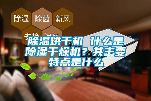 除濕烘干機 什么是除濕干燥機？其主要特點是什么