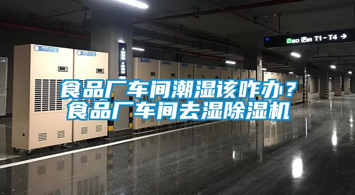 食品廠車間潮濕該咋辦？食品廠車間去濕除濕機(jī)