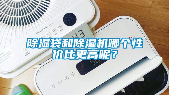 除濕袋和除濕機哪個性價比更高呢？