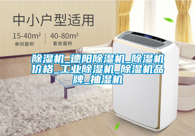 除濕機_德陽除濕機_除濕機價格_工業(yè)除濕機_除濕機品牌_抽濕機